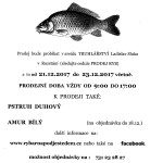 Vánoce 2017