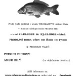 vánoční prodej kaprů 2022